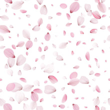 Load image into Gallery viewer, Peel & Stick Wallpaper