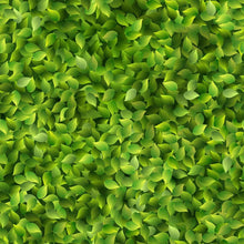 Load image into Gallery viewer, Peel & Stick Wallpaper