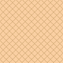 Load image into Gallery viewer, Morrocan Peel & Stick Wallpaper N010027
