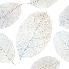 Load image into Gallery viewer, Leaves Peel & Stick Wallpaper N010059
