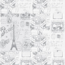 Load image into Gallery viewer, Traveling to Paris Peel & Stick Wallpaper N011019
