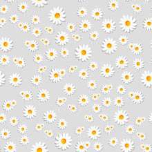 Load image into Gallery viewer, Floral Daisy Peel & Stick Wallpaper N011115