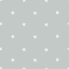 Load image into Gallery viewer, Little Stars Peel & Stick Wallpaper N013034