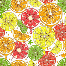 Load image into Gallery viewer, Citrus Fruits Peel & Stick Wallpaper N013060
