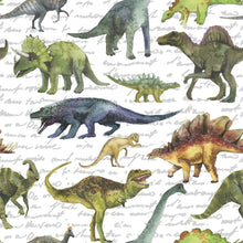 Load image into Gallery viewer, Little Dinosaurs Peel & Stick Wallpaper N014085