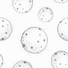 Load image into Gallery viewer, Moon Peel & Stick Wallpaper N014106