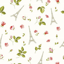 Load image into Gallery viewer, Paris Peel & Stick Wallpaper N014111