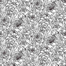 Load image into Gallery viewer, Floral To Color Peel & Stick Wallpaper N014148