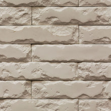 Load image into Gallery viewer, Bricks Peel & Stick Wallpaper N015205