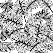 Load image into Gallery viewer, Tropical Leaves Peel & Stick Wallpaper N04167