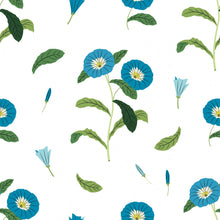 Load image into Gallery viewer, Flowers Azuis White Peel & Stick Wallpaper N07013