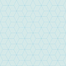 Load image into Gallery viewer, Geometric Lines Finas Peel & Stick Wallpaper N08118