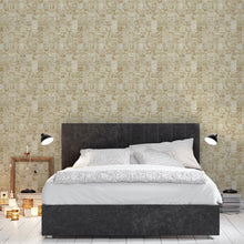 Load image into Gallery viewer, Stone Tablets Peel & Stick Wallpaper NP067