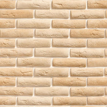 Load image into Gallery viewer, Brick Wall Rustic Tan Peel & Stick Wallpaper NP078