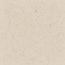 Load image into Gallery viewer, Peel &amp; Stick Wallpaper
