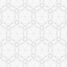 Load image into Gallery viewer, Peel &amp; Stick Wallpaper
