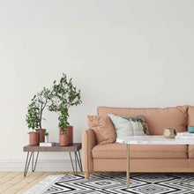 Load image into Gallery viewer, Neutral Color Gradient Peel &amp; Stick Wallpaper N014168
