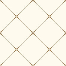 Load image into Gallery viewer, Geometric Grid Peel &amp; Stick Wallpaper N015145
