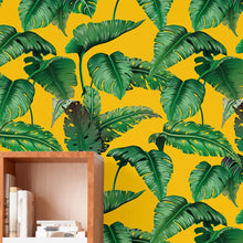 Load image into Gallery viewer, Teen Striped Peel &amp; Stick Wallpaper N016025
