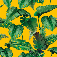 Load image into Gallery viewer, Teen Striped Peel &amp; Stick Wallpaper N016025
