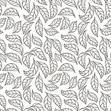 Load image into Gallery viewer, Leaves Black and White Peel &amp; Stick Wallpaper N04263
