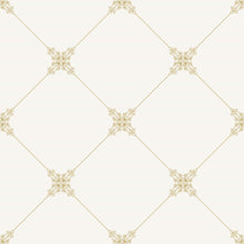 Load image into Gallery viewer, Vintage Geometric Peel &amp; Stick Wallpaper N05272
