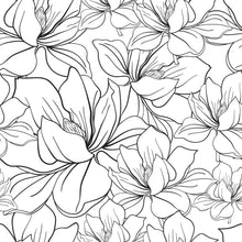 Load image into Gallery viewer, Floral Lines White and Black Peel &amp; Stick Wallpaper N06096
