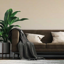 Load image into Gallery viewer, Beige Gradient Peel &amp; Stick Wallpaper N07170
