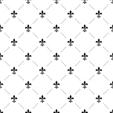 Load image into Gallery viewer, Little Lily P&amp;B Peel &amp; Stick Wallpaper N09009
