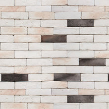 Load image into Gallery viewer, White Brick Wall e Black Peel &amp; Stick Wallpaper NP105
